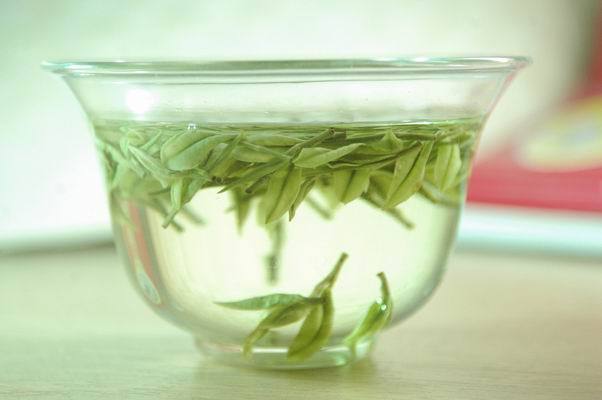 安吉白茶，芽中仙子