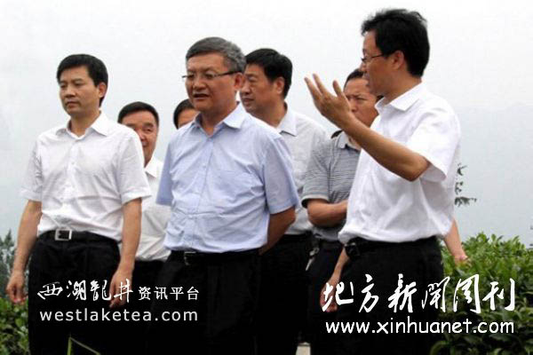 紫阳县洄水镇千户茶农建万亩富硒茶园(图)