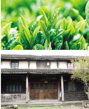 品中国茶历史 喝中国茶文化
