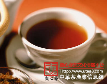 茶道养生