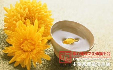 茶道养生