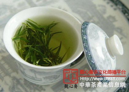 泡茶