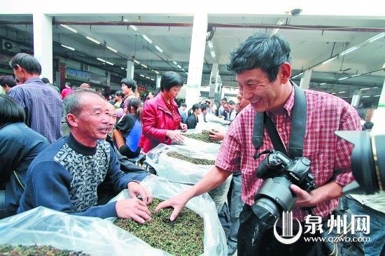 大众茶叶的销量越来越大