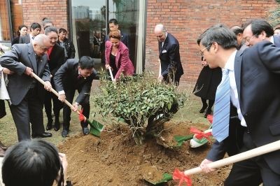 现场嘉宾共同种下了一棵移植自安溪的百年老茶树