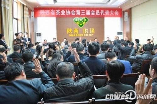 陕西茶企将抱团闯市场 做响做强&ldquo;陕茶&rdquo;品牌