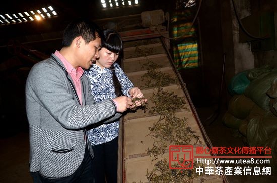 曹艳和李笑在去尘输送带上查看茶叶的成色。李毅摄