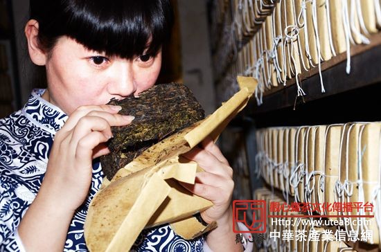 曹艳在烘培室里检查茯砖茶的发酵情况。李毅摄