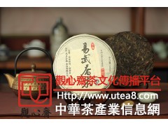 易武早春乔木茶代理商图2