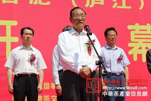 &ldquo;华南城&rdquo;杯安徽第八届国际茶产业博览会开幕