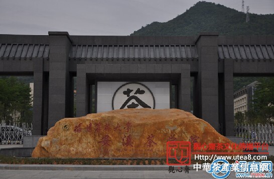福建安溪茶博汇创新销售：电商拓宽茶产业销路