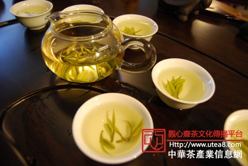 不恰当饮茶会让好茶变毒药