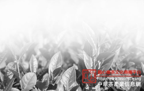 《中国科学报》 (2014-10-10 第14版 关注)
