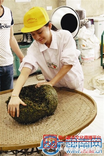 安溪铁观音&middot;京东秋茶节启动仪式