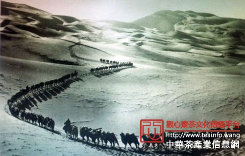 万里茶路.png