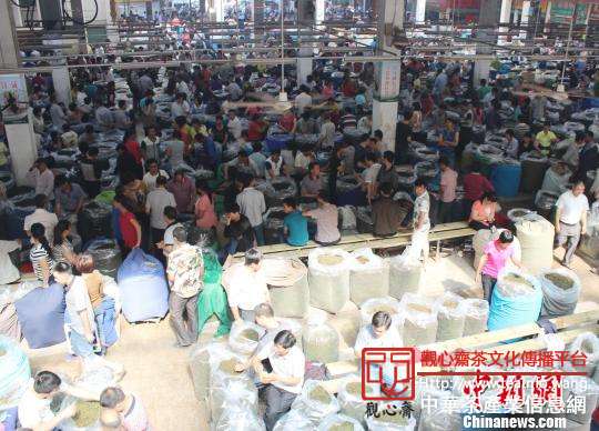 聚焦被误读的&ldquo;稀土超标&rdquo;　机构：中国茶放心喝