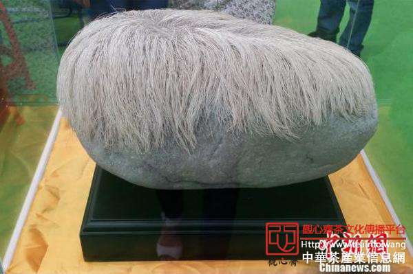 万种名茶&ldquo;飘香&rdquo;第四届哈尔滨国际茶产业博览会
