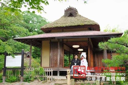 日本推出&ldquo;茶婚仪式&rdquo;茶室办婚礼清新浪漫（图）