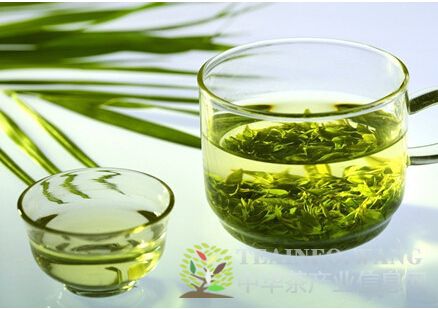 绿茶降火防癌！初秋一定要喝6大养生茶