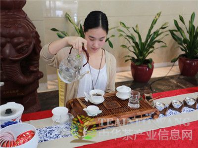 五指山茶产业发展论坛召开 打造&ldquo;以旅兴茶&ldquo;模式
