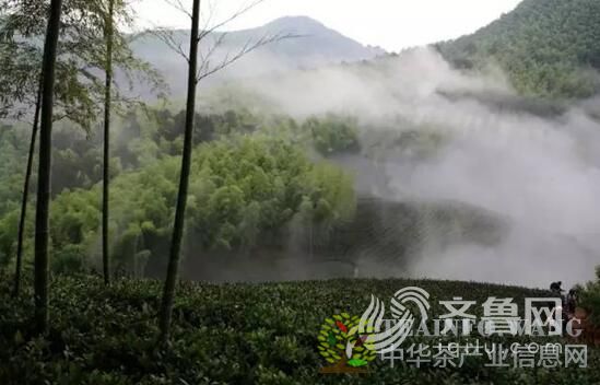 图一：政和县优越的地理环境&ldquo;高山云雾出名茶&rdquo;