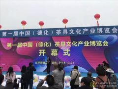 第一届中国（德化）茶具文化产业博览会盛大开幕