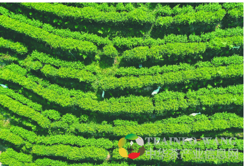QQ图片20191010083615.png