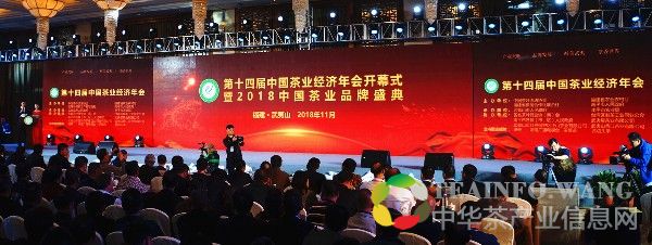 2 2018年会开幕式.jpg