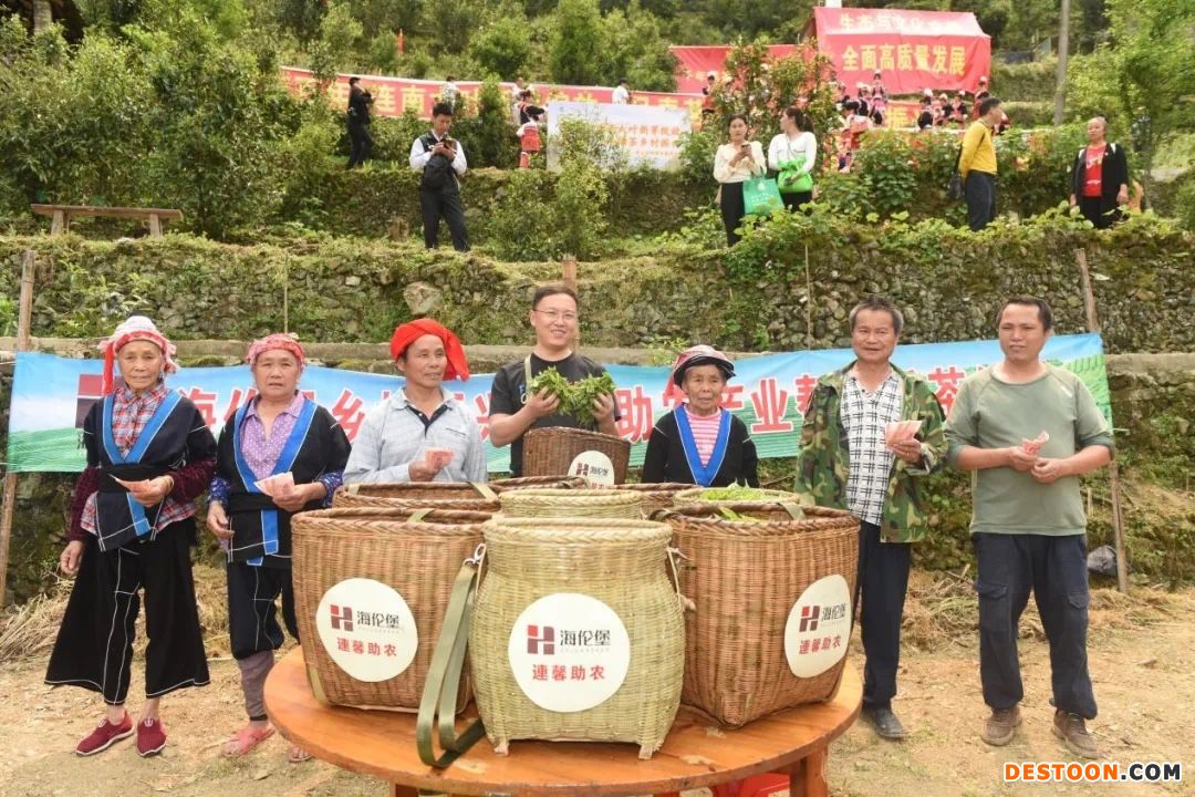 2021年连南瑶族自治县清明采茶活动现场
