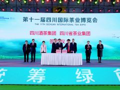 七万平米，两千展商，全国规模最大春季茶博会将于5月11日-14日在成都举办！